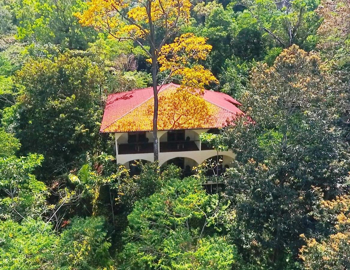 Morrillo Beach Eco Resort Dış mekan fotoğraf